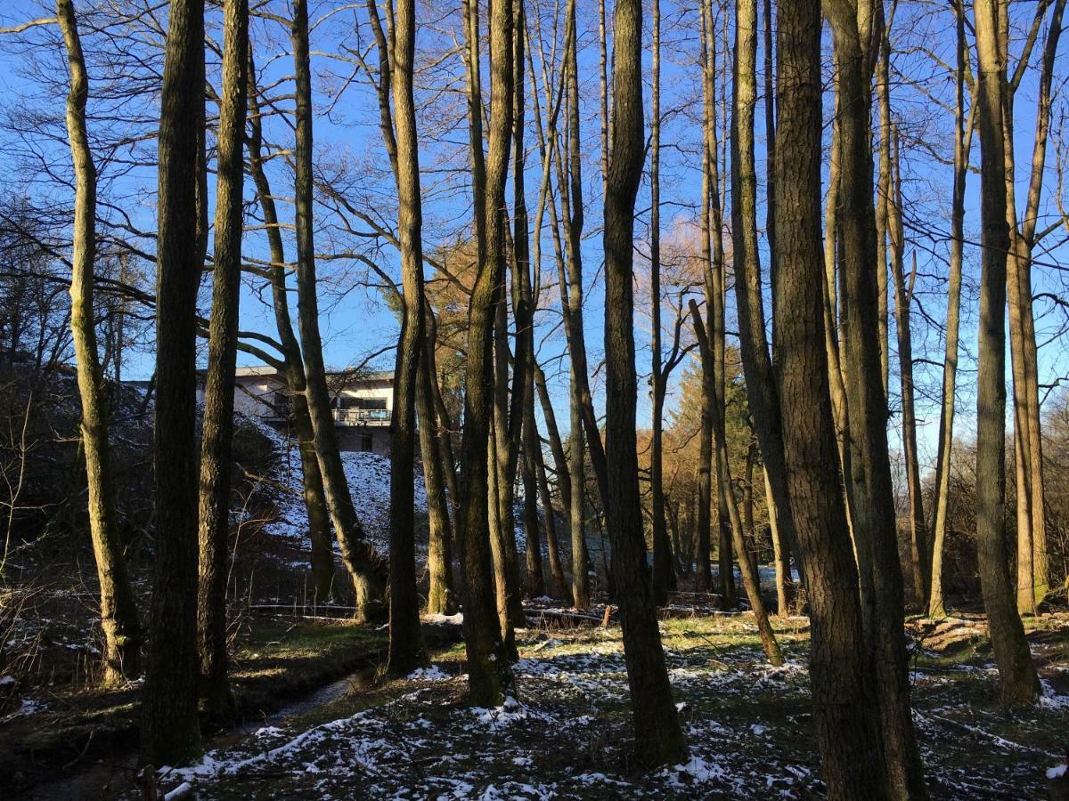 Haagalm Terrasse, Garten Nonnweiler Exterior foto