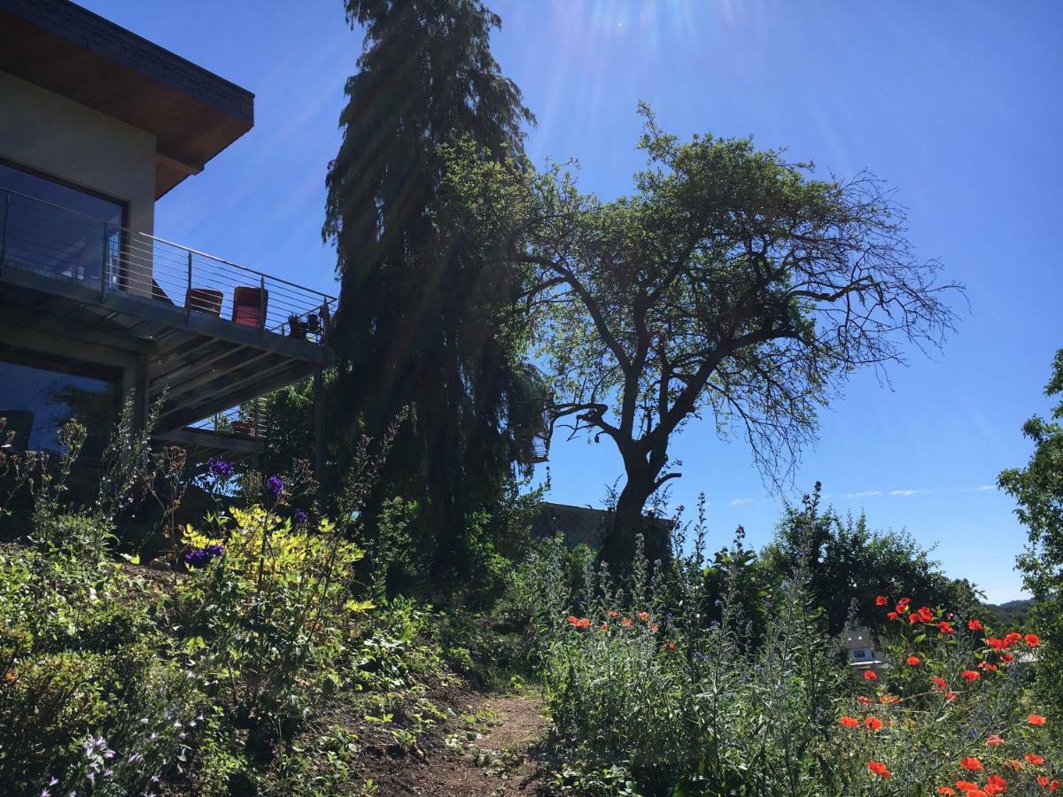 Haagalm Terrasse, Garten Nonnweiler Exterior foto
